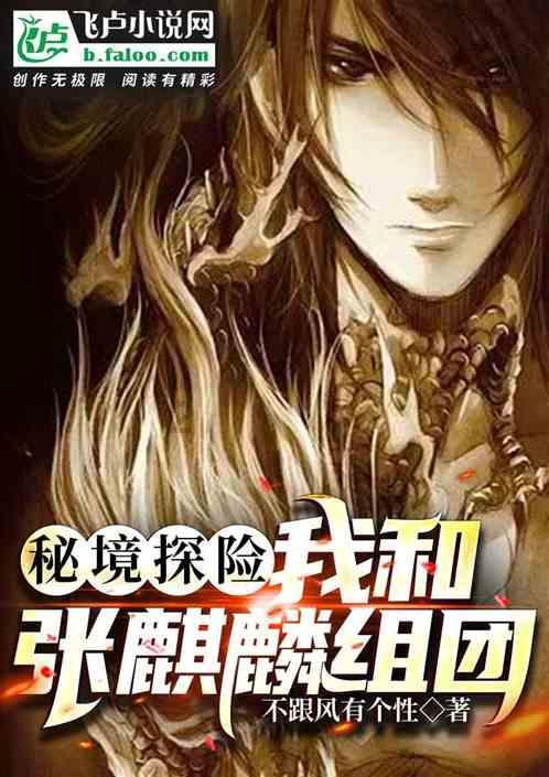 幻想纹章2.0