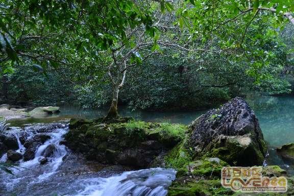 行廊镇:源头劝导强管理,重拳出击见实效
