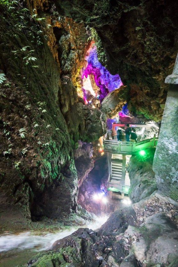 逃离大犀牛出没地