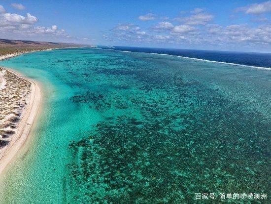 如何准确判断受孕情况？可丽蓝早早孕测试笔为你精准检测