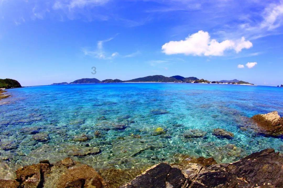 甜美奥莉吃甜点