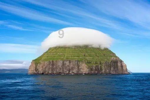 动物帮帮忙保卫家园