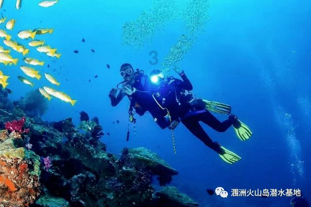冬青奥会 | 中国队包揽自由式滑雪女子U型场地技巧金银牌