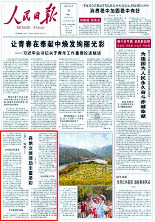 救援七星瓢虫