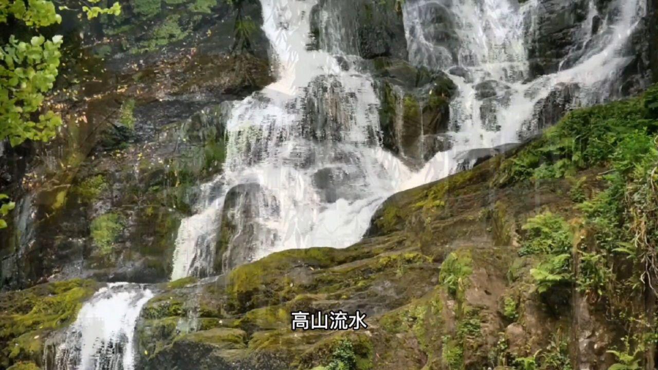 被上课！杨瀚森半场只得2分 出现3失误3犯规 正负值垫底-23