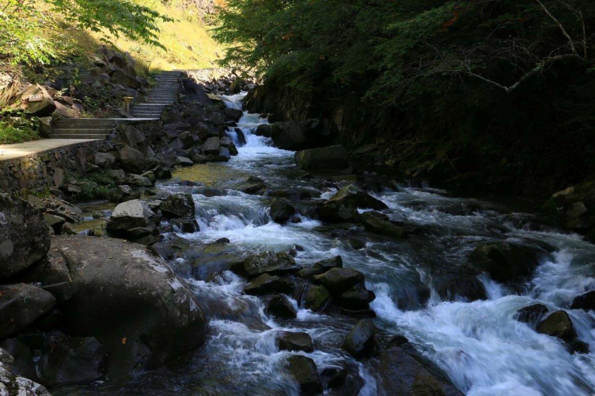 漳州市旅行社项目可行性研究报告