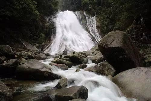 罗鹿高速第3标段项目举行红马山2号隧道进洞仪式