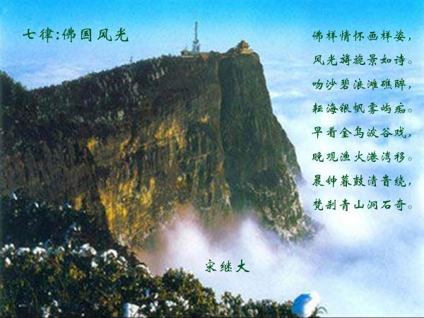 2024山东两会｜省人大代表王向东：抢抓机遇改善营商环境 实现绿色低碳转型升级 打造世界一流企业