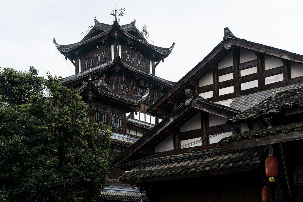 蝎子逃生之地