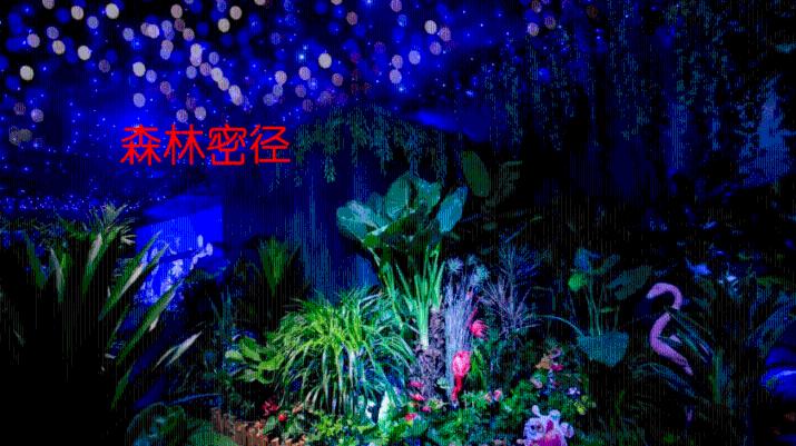红色鹦鹉逃脱